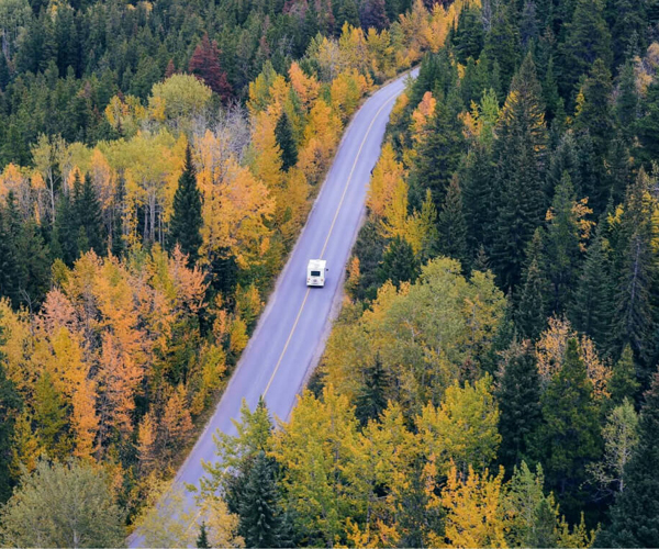 main_image_1750913543.jpg